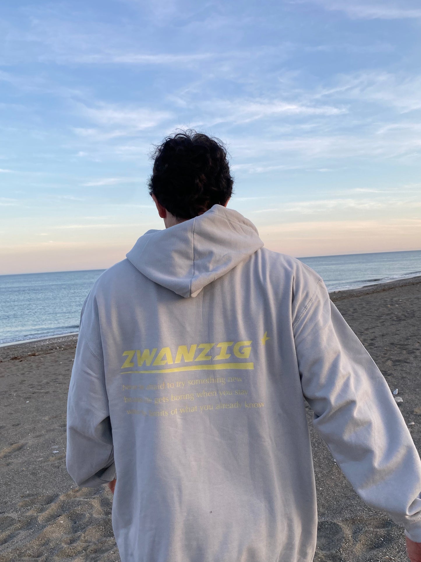 Sudadera  oversize color gris claro llamada ZWANZIG