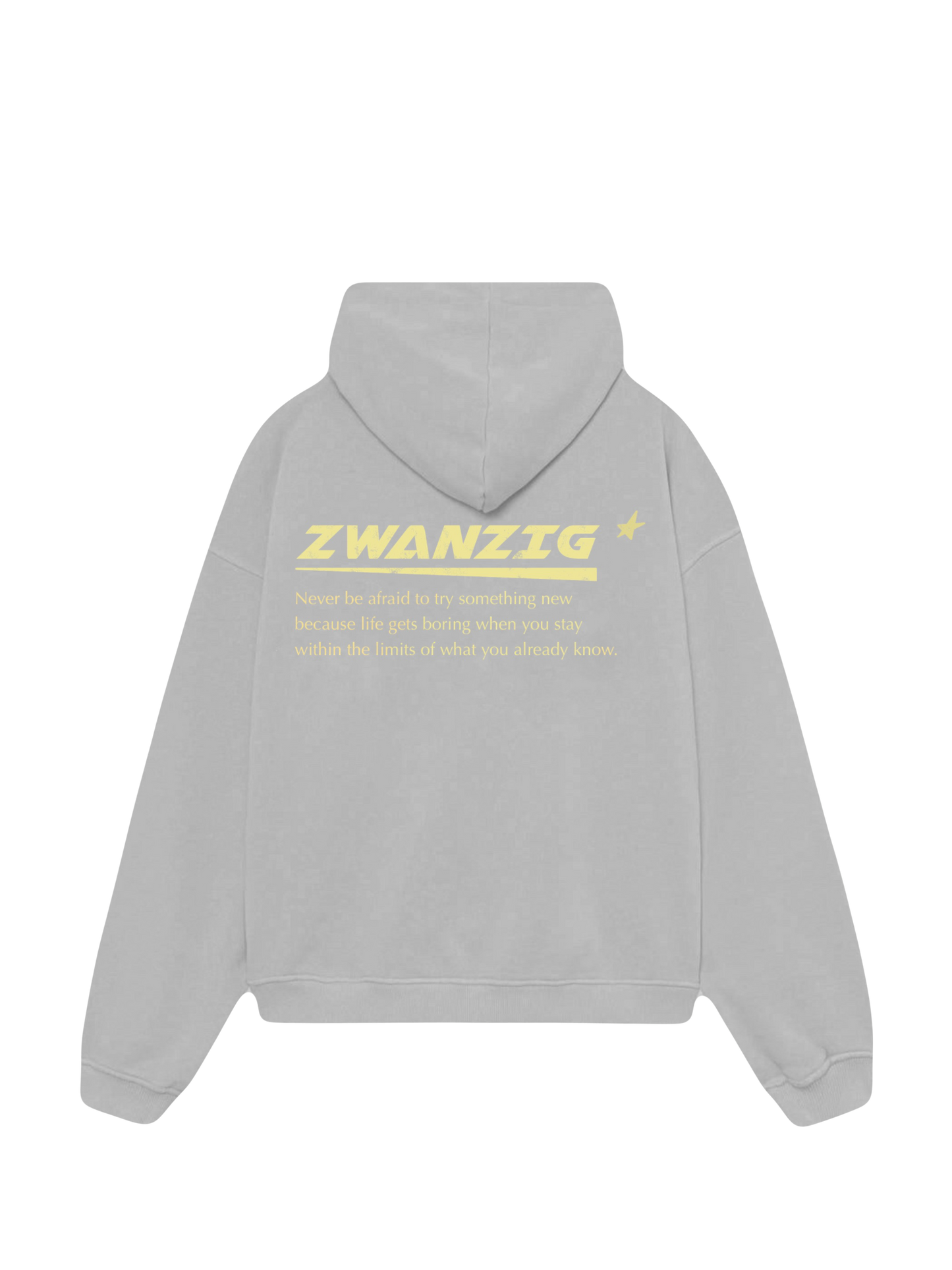 Sudadera  oversize color gris claro llamada ZWANZIG